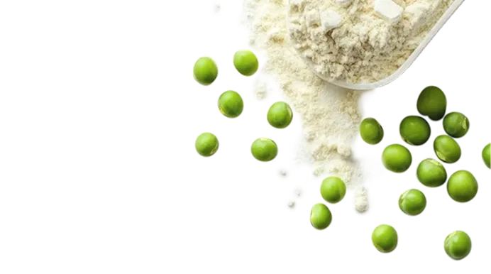 proteine vegetale pois